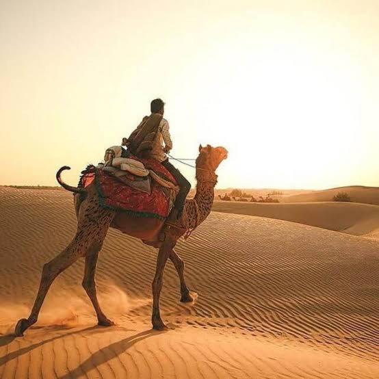 Desert Holiday Jaisalmer Εξωτερικό φωτογραφία