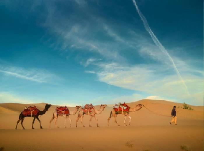 Desert Holiday Jaisalmer Εξωτερικό φωτογραφία